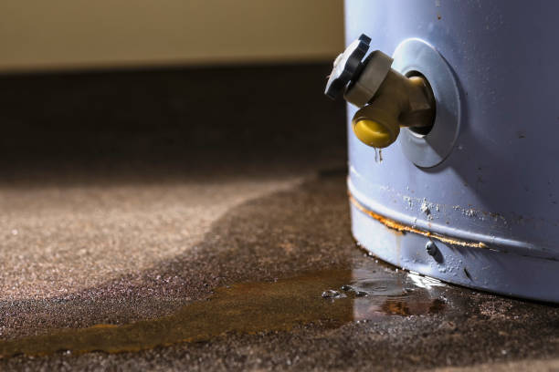 Best Water damage restoration near me  in North Middletown, NJ