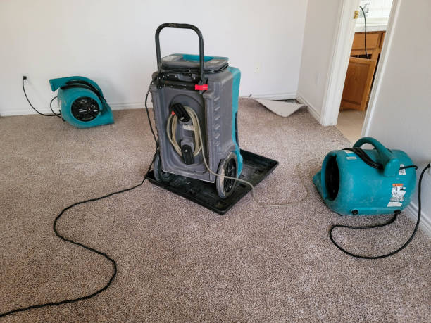 Best Water damage restoration near me  in North Middletown, NJ