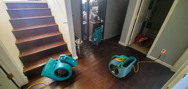 Best Flood damage cleanup  in North Middletown, NJ