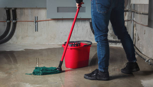 Best Water damage cleanup near me  in North Middletown, NJ