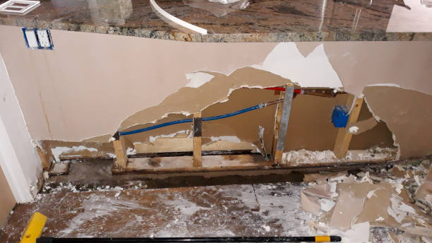 Best Water damage contractors near me  in North Middletown, NJ