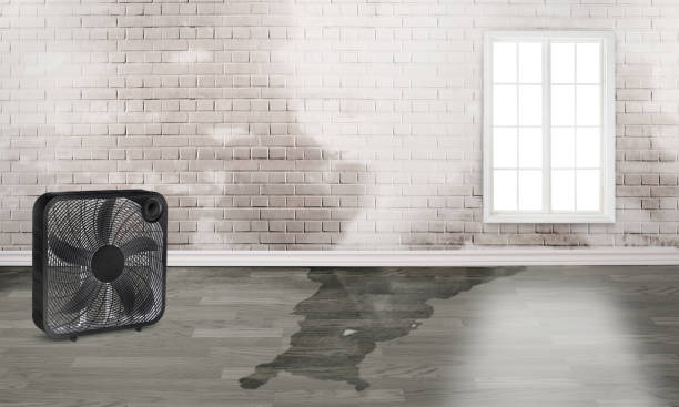 North Middletown, NJ Water damage restoration Pros