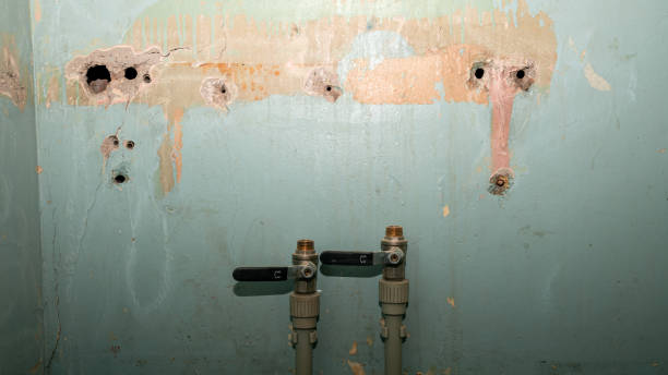 Best Water damage mitigation services  in North Middletown, NJ