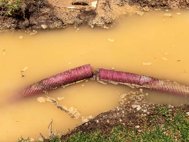 Best Carpet water damage restoration  in North Middletown, NJ