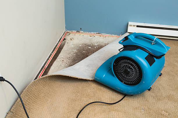 Water damage restoration insurance claims in NJ